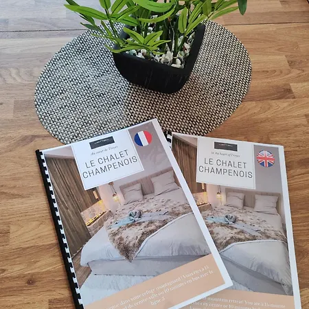Holiday home Le Champenois - Jacuzzi - Terrasse - Calme - Cine Netflix Troyes