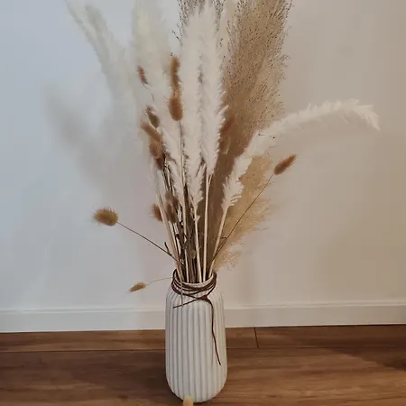 Сasa de vacaciones Le Champenois - Jacuzzi - Terrasse - Calme - Ciné Netflix *