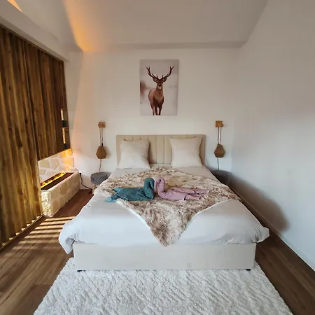 Le Champenois - Jacuzzi - Terrasse - Calme - Cine Netflix 別荘 *