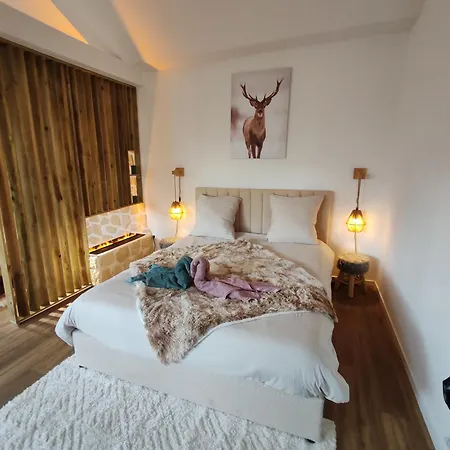 Le Champenois - Jacuzzi - Terrasse - Calme - Cine Netflix Holiday home Troyes