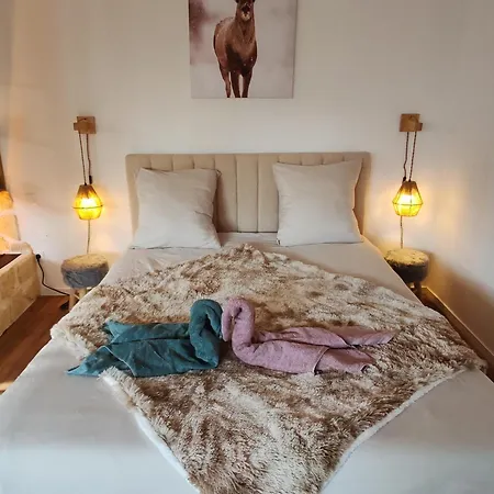 Le Champenois - Jacuzzi - Terrasse - Calme - Cine Netflix Holiday home *