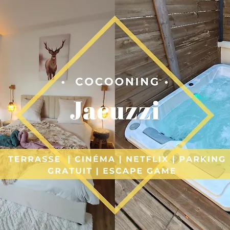 Le Champenois - Jacuzzi - Terrasse - Calme - Ciné Netflix Сasa de vacaciones Troyes