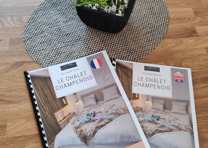 Hébergement de vacances Le Champenois - Jacuzzi - Terrasse - Calme - Ciné Netflix Troyes