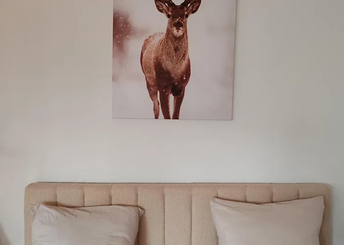 Le Champenois - Jacuzzi - Terrasse - Calme - Cine Netflix * Troyes