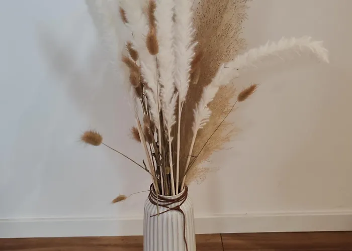 Nyaraló Le Champenois - Jacuzzi - Terrasse - Calme - Cine Netflix *