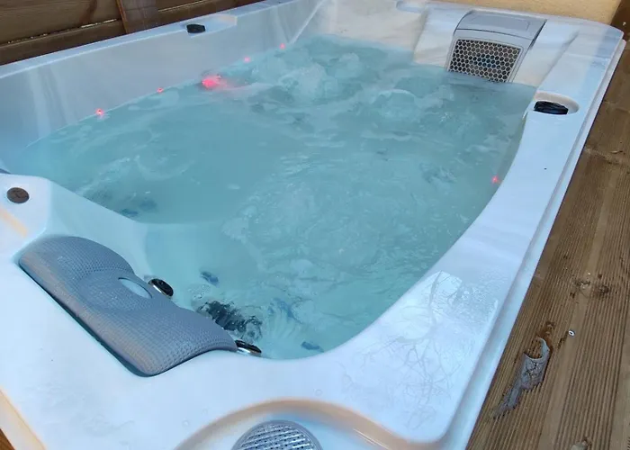 Hébergement de vacances Le Champenois - Jacuzzi - Terrasse - Calme - Ciné Netflix *