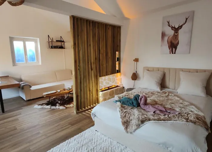 Hébergement de vacances Le Champenois - Jacuzzi - Terrasse - Calme - Ciné Netflix