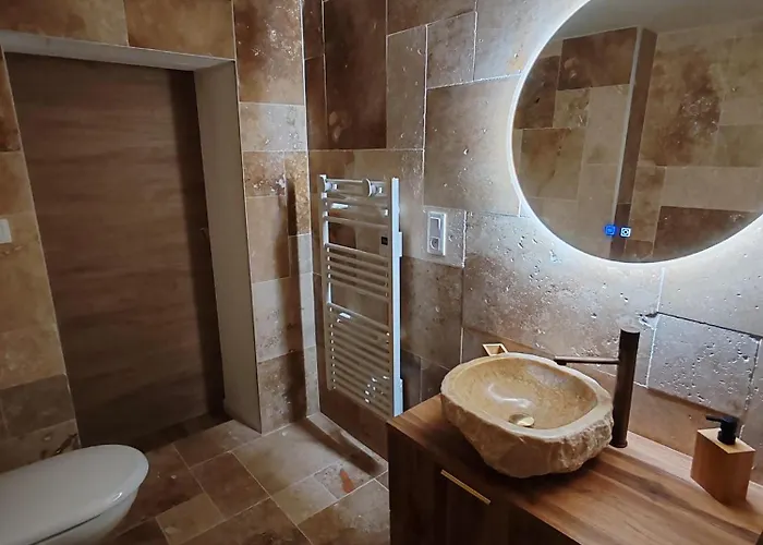 Hébergement de vacances Le Champenois - Jacuzzi - Terrasse - Calme - Ciné Netflix Troyes