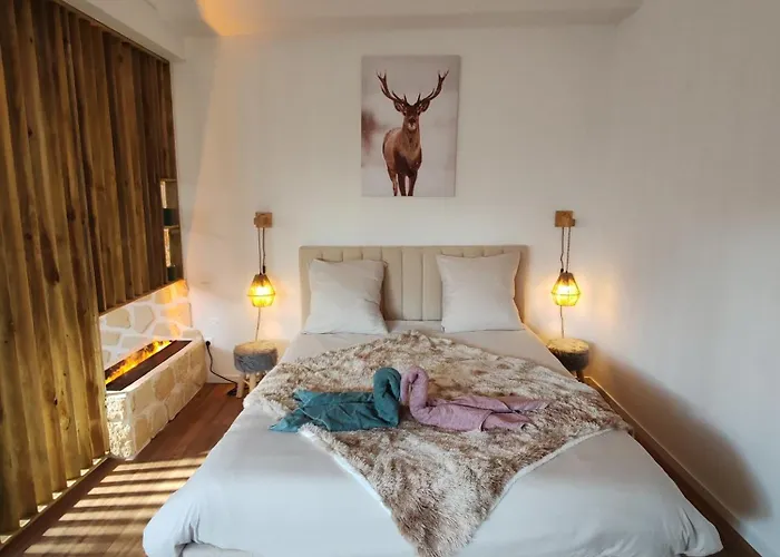 Le Champenois - Jacuzzi - Terrasse - Calme - Cine Netflix * Troyes