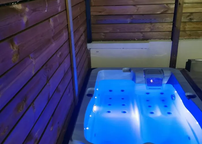 Le Champenois - Jacuzzi - Terrasse - Calme - Cine Netflix * Troyes